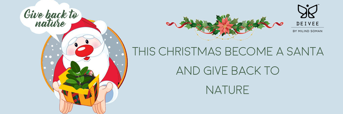Become A Santa & Give Back To Nature This Christmas